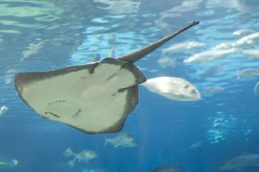 Similar image 417103