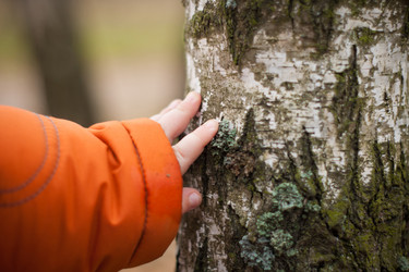 Similar image 417106