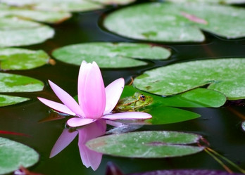 Similar image 417108