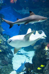 Similar image 417309