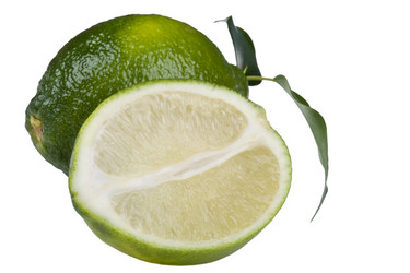 Similar image 417357