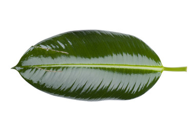 Similar image 417378