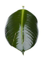 Similar image 417380