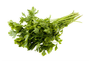 Similar image 417430