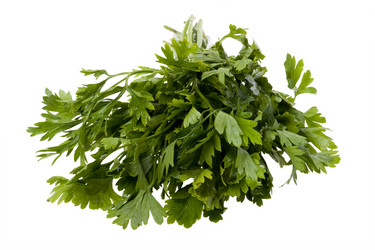 Similar image 417432