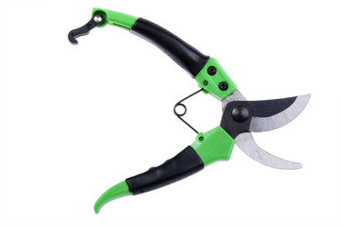 Similar image 417439