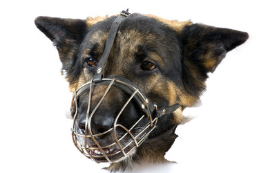 Similar image 417456