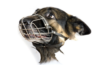 Similar image 417460