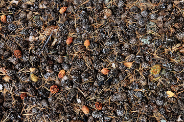 Similar image 417507