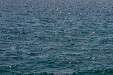 Similar image 417513