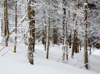 Similar image 417547