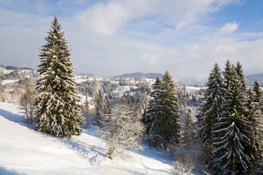 Similar image 417607