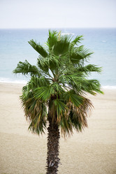 Similar image 417701