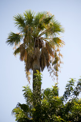 Similar image 417702