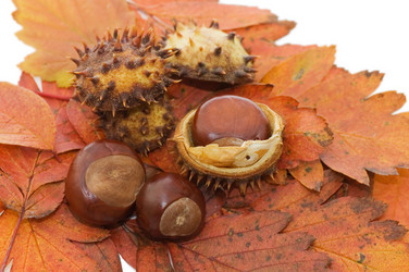 Similar image 417743