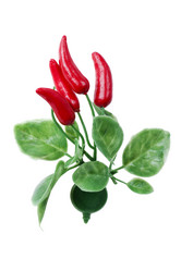 Similar image 417745