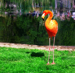 Similar image 417752