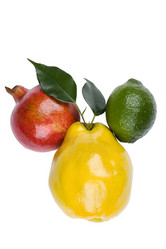 Similar image 417761