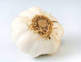 Similar image 417802