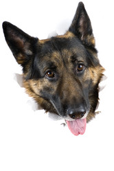 Similar image 417804