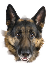 Similar image 417805