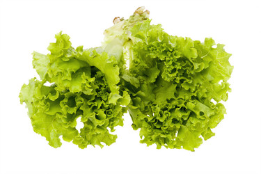 Similar image 417832