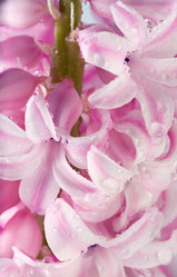 Similar image 417919