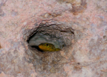 Similar image 417928