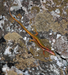 Similar image 417932