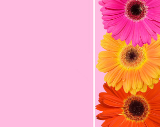 Similar image 417936