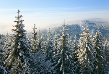 Similar image 417947