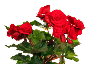 Similar image 417964