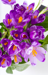 Similar image 418006