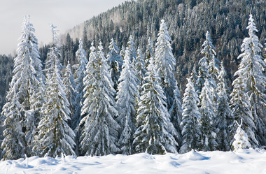 Similar image 418017