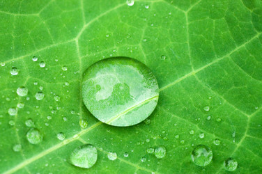 Similar image 418020