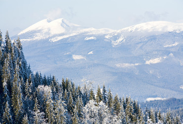 Similar image 418045