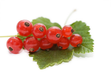 Similar image 418048