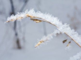 Similar image 418130