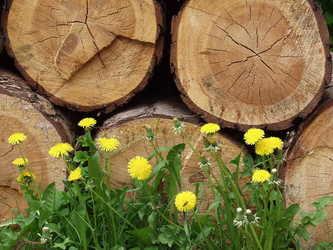 Similar image 418131