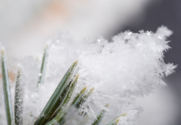 Similar image 418141