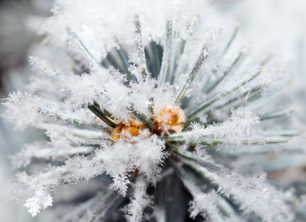 Similar image 418142