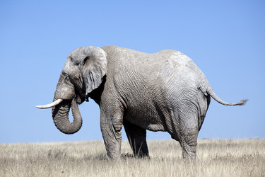 Similar image 418154