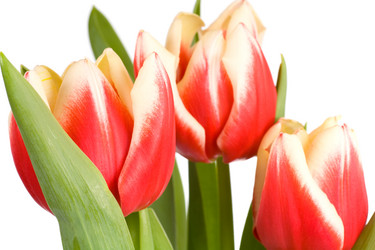 Similar image 418165