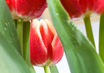 Similar image 418166