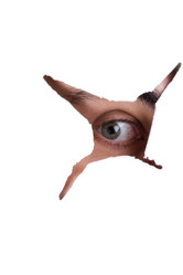 Similar image 418209