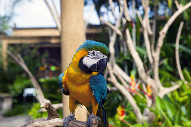 Similar image 418243