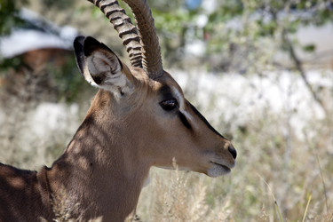 Similar image 418247