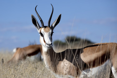 Similar image 418248