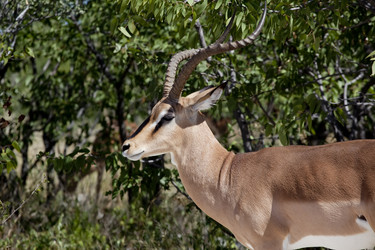 Similar image 418249