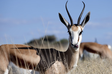 Similar image 418250